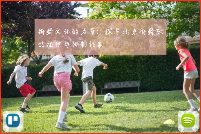 街舞文化的力量：探寻北京街舞队的组织与控制机制