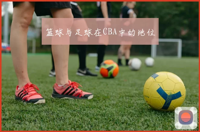 篮球与足球在CBA中的地位