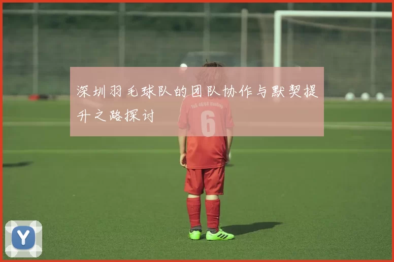 深圳羽毛球队的团队协作与默契提升之路探讨