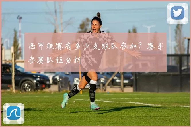 西甲联赛有多少支球队参加？赛季参赛队伍分析