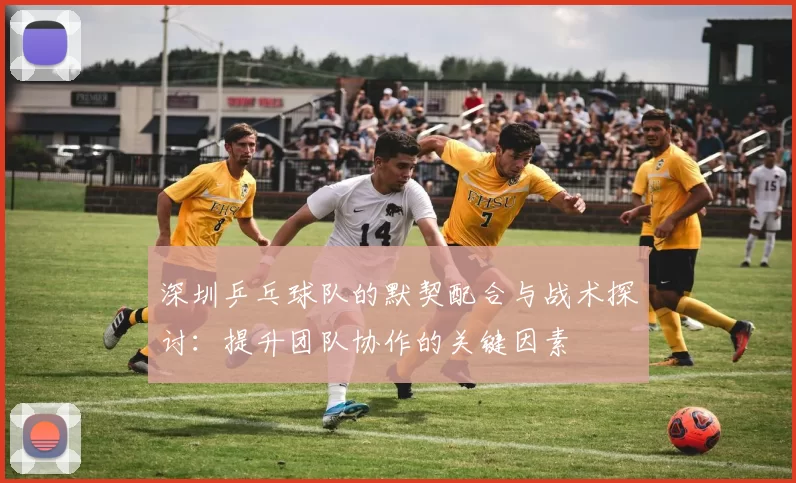 深圳乒乓球队的默契配合与战术探讨：提升团队协作的关键因素