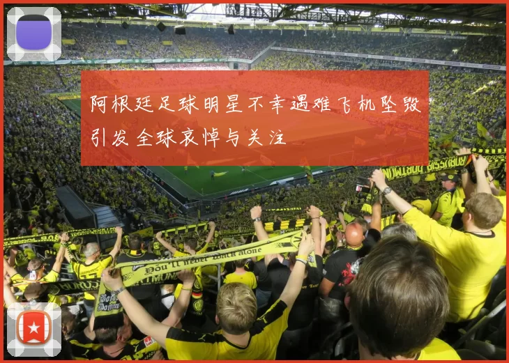 阿根廷足球明星不幸遇难飞机坠毁引发全球哀悼与关注
