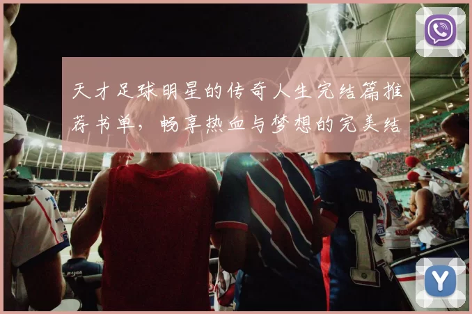 天才足球明星的传奇人生完结篇推荐书单，畅享热血与梦想的完美结合