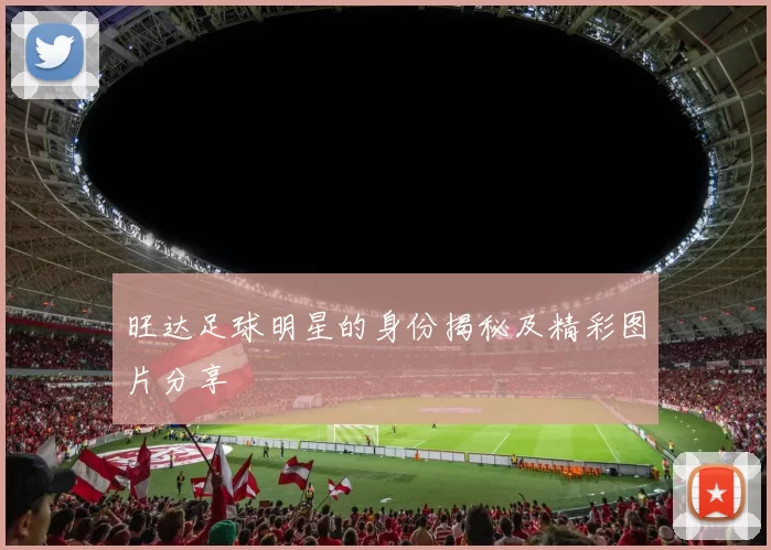 旺达足球明星的身份揭秘及精彩图片分享