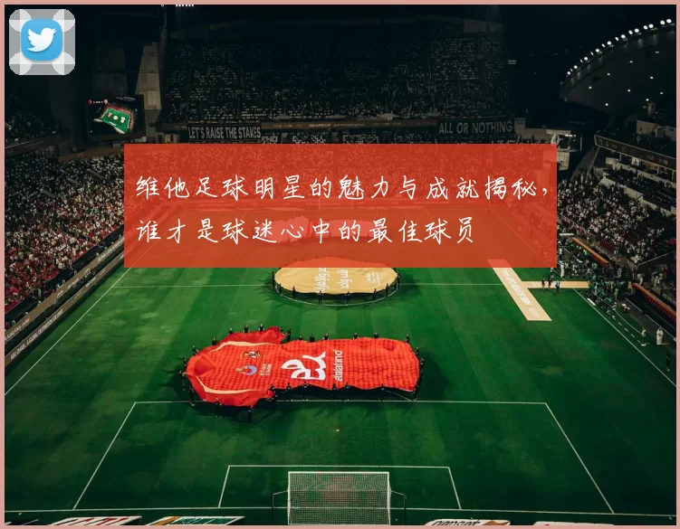 维他足球明星的魅力与成就揭秘，谁才是球迷心中的最佳球员
