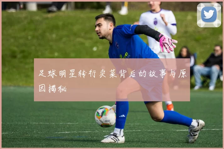 足球明星转行卖菜背后的故事与原因揭秘