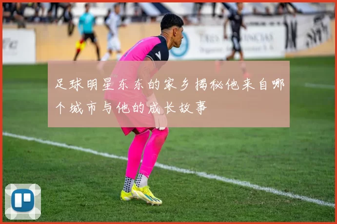 足球明星东东的家乡揭秘他来自哪个城市与他的成长故事