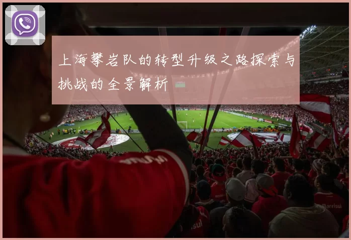 上海攀岩队的转型升级之路探索与挑战的全景解析