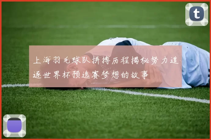 上海羽毛球队拼搏历程揭秘努力追逐世界杯预选赛梦想的故事