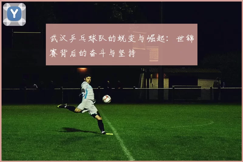 武汉乒乓球队的蜕变与崛起：世锦赛背后的奋斗与坚持