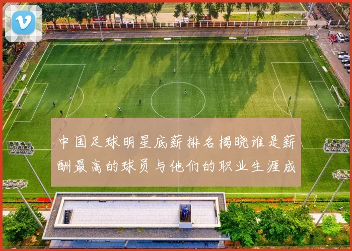 中国足球明星底薪排名揭晓谁是薪酬最高的球员与他们的职业生涯成就分析