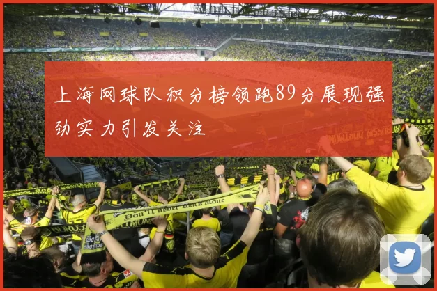 上海网球队积分榜领跑89分展现强劲实力引发关注