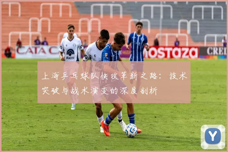 上海乒乓球队快攻革新之路：技术突破与战术演变的深度剖析