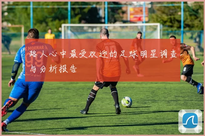 路人心中最受欢迎的足球明星调查与分析报告