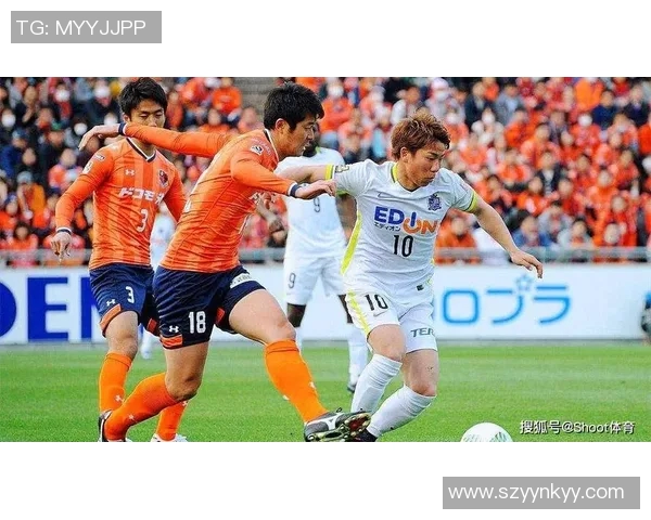 冈山绿雉与金泽塞维根精彩对决比分分析及赛后点评