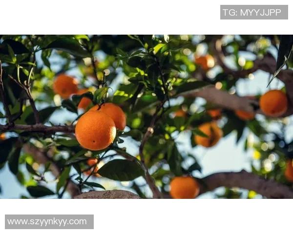 果园风光与生态种植结合的创新发展路径探索及实践意义分析