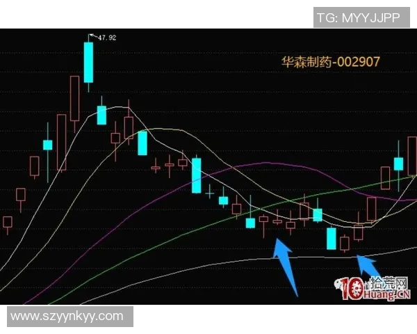 上海羽毛球队灵活性分析与战术创新的深度探讨