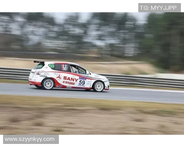 成都乒乓球队实力强劲最新耐力排行榜前十名揭晓