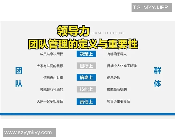 深圳乒乓球队精英赛精彩表现分析团队协作的重要性与未来展望