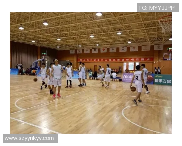 杭州篮球队运营分析：成功经验与不足之处的深度剖析